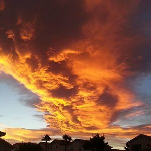 Meet your Posher, Demetrius